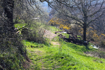 future orchard in winter